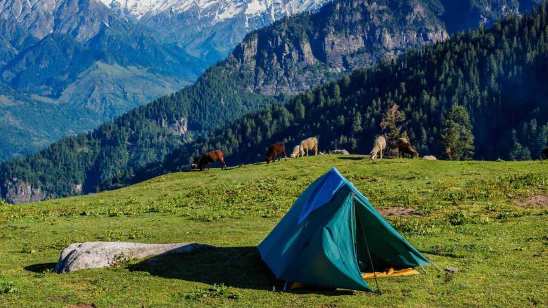 Choosing the Perfect Kullu Holiday Package for Your Travel