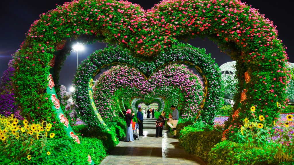 Miracle Garden with Dubai Package