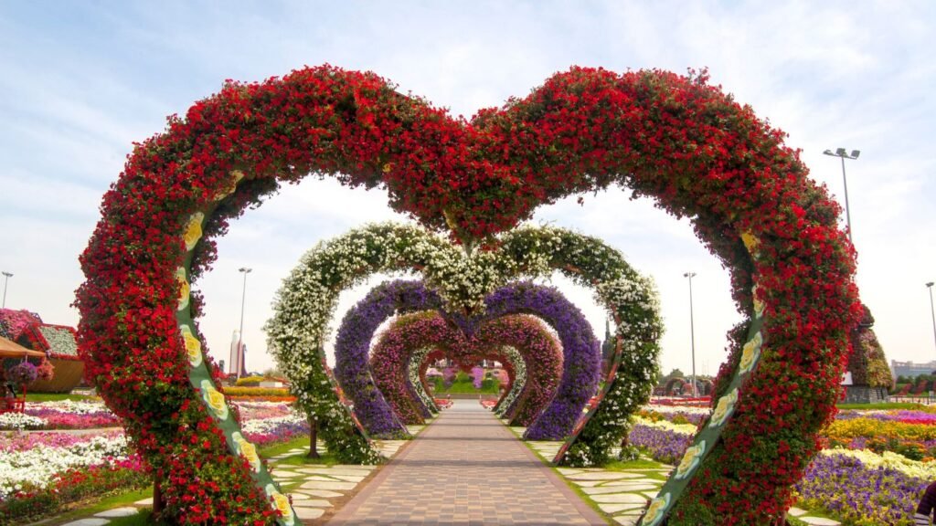 Miracle Garden