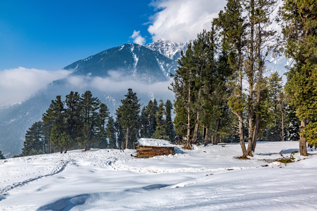 Shimla and Manali.