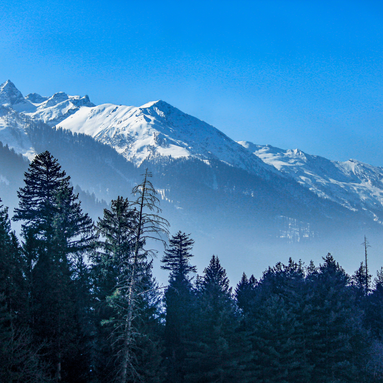 Kashmir