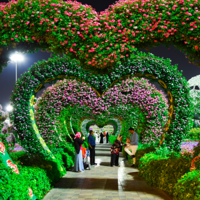 Miracle Garden with Dubai Package